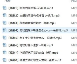 星河软梦ASMR福利系列8A：剧情音声+耳畔私语[中文音声/405MB]