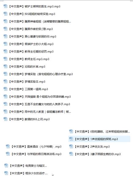 戴猫耳的大魔王ASMR合集：御姐音撩人剧情×24首助眠音频[1.13G]