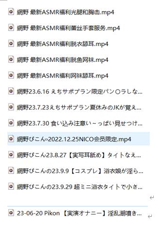 網野ぴこん ASMR高清作品合集：13V沉浸式助眠触发音[13V/21G]