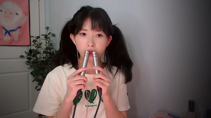 芝麻对辣助眠哄睡减压ASMR 8