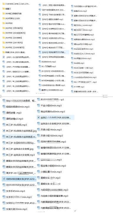 CV林三岁(岁岁)ASMR音声合集：御姐声线×反差调教[453V/29G]
