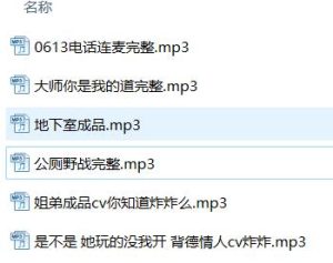 一酱33 ASMR作品《静谧之音》全集下载：耳语疗愈+场景定制[MP3/5.6GB]